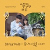 Stray Kids - 끝나지 않을 이야기