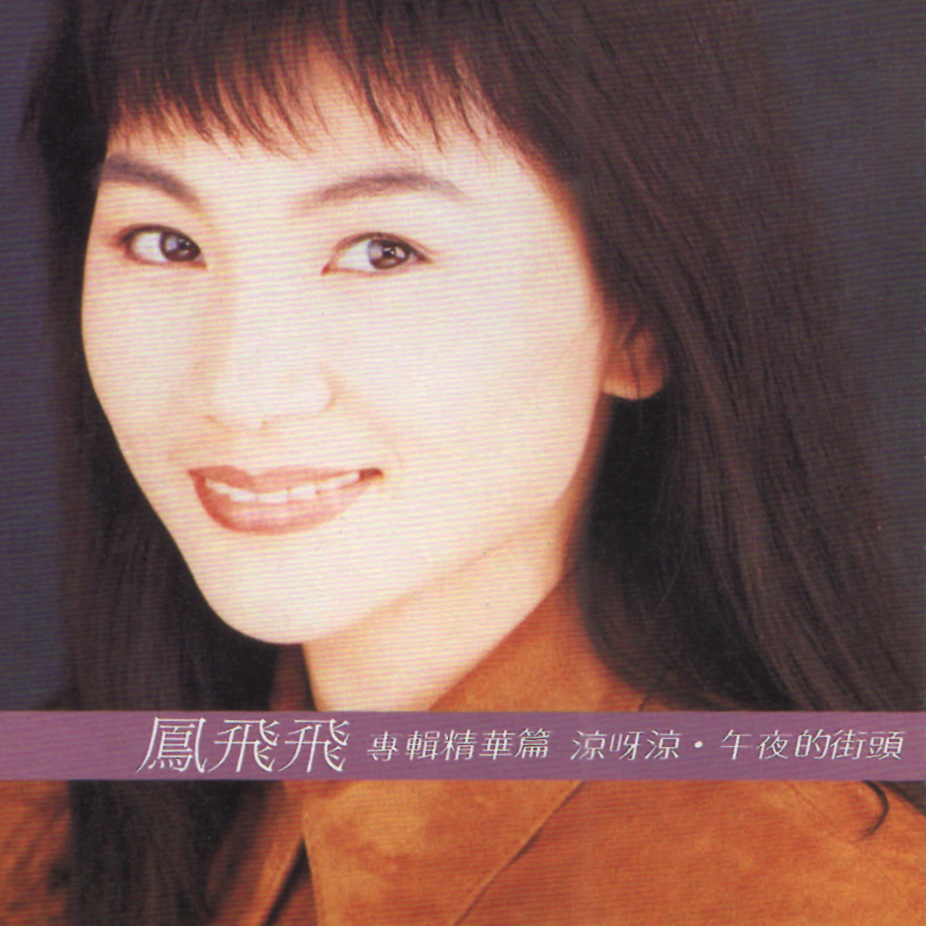 专辑精华篇 (翻唱)