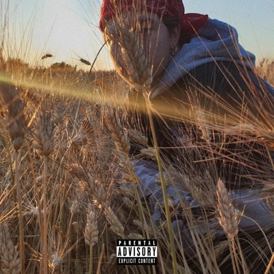 7 Am - Single