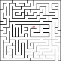 Maze - Single - CJSleeves