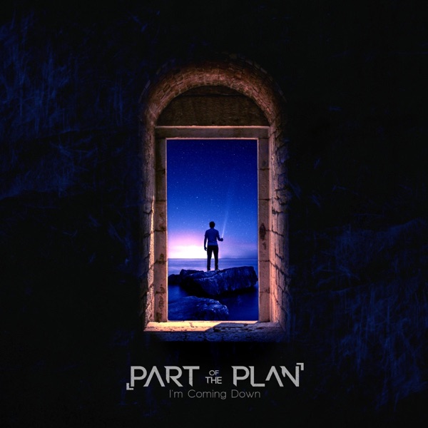 Cover art for I'm Coming Down