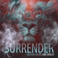 Surrender (feat. Aris Yancey) - Single - Andre David