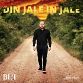 Din Jale In Jale artwork