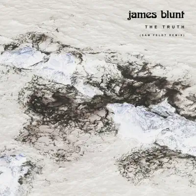 The Truth (Sam Feldt Remix) - Single - James Blunt