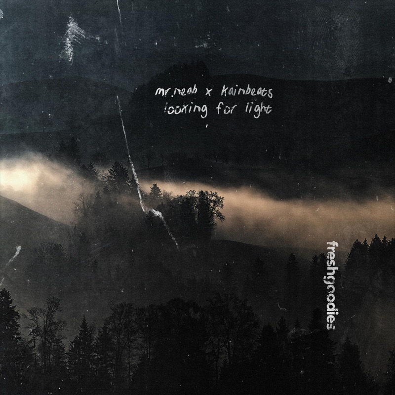 Looking For Light - Single