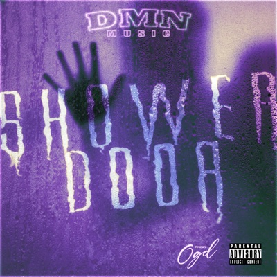 Shower Door - Single