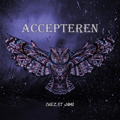 Accepteren (feat. Jams) - Single