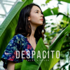 Despacito - Chloé Stafler