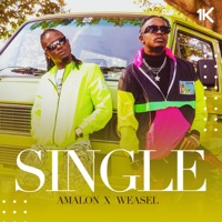 Single (feat. Weasel) - Single - Amalon
