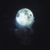 Moon Rays - Single