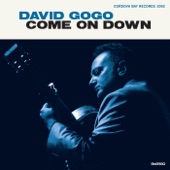 David Gogo - So Into You