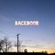 Backdoor feat Status Misunderstood Single