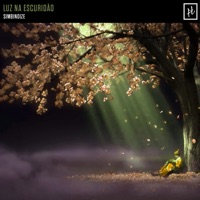 Luz na Escuridão - Single - Simbinoize