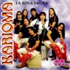 La Rosa Negra, 1999