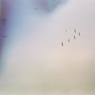 Paper Cranes - Single