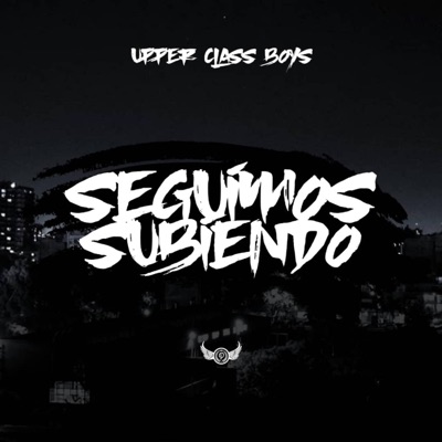 Seguimos Subiendo - Single