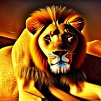 Warrior - Single - DJ Phinesse