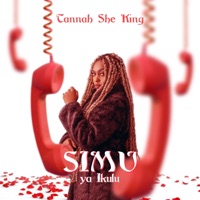 SIMU YA IKULU (Radio Edit) - Single - Tannah SheKING