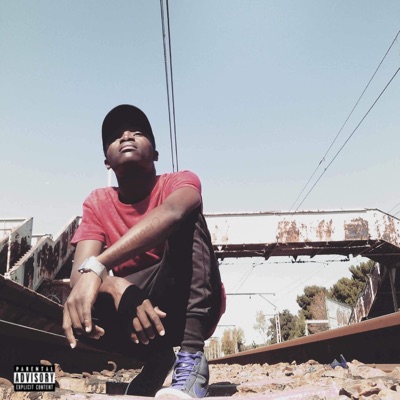 Mama I'm Sorry (feat. Vhole) - Single