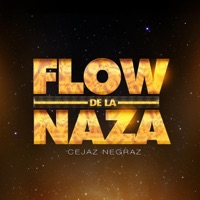 Flow de la Naza - Single - Cejaz Negraz