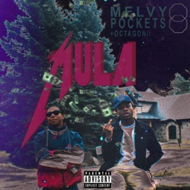 Transactions Melvy Pockets