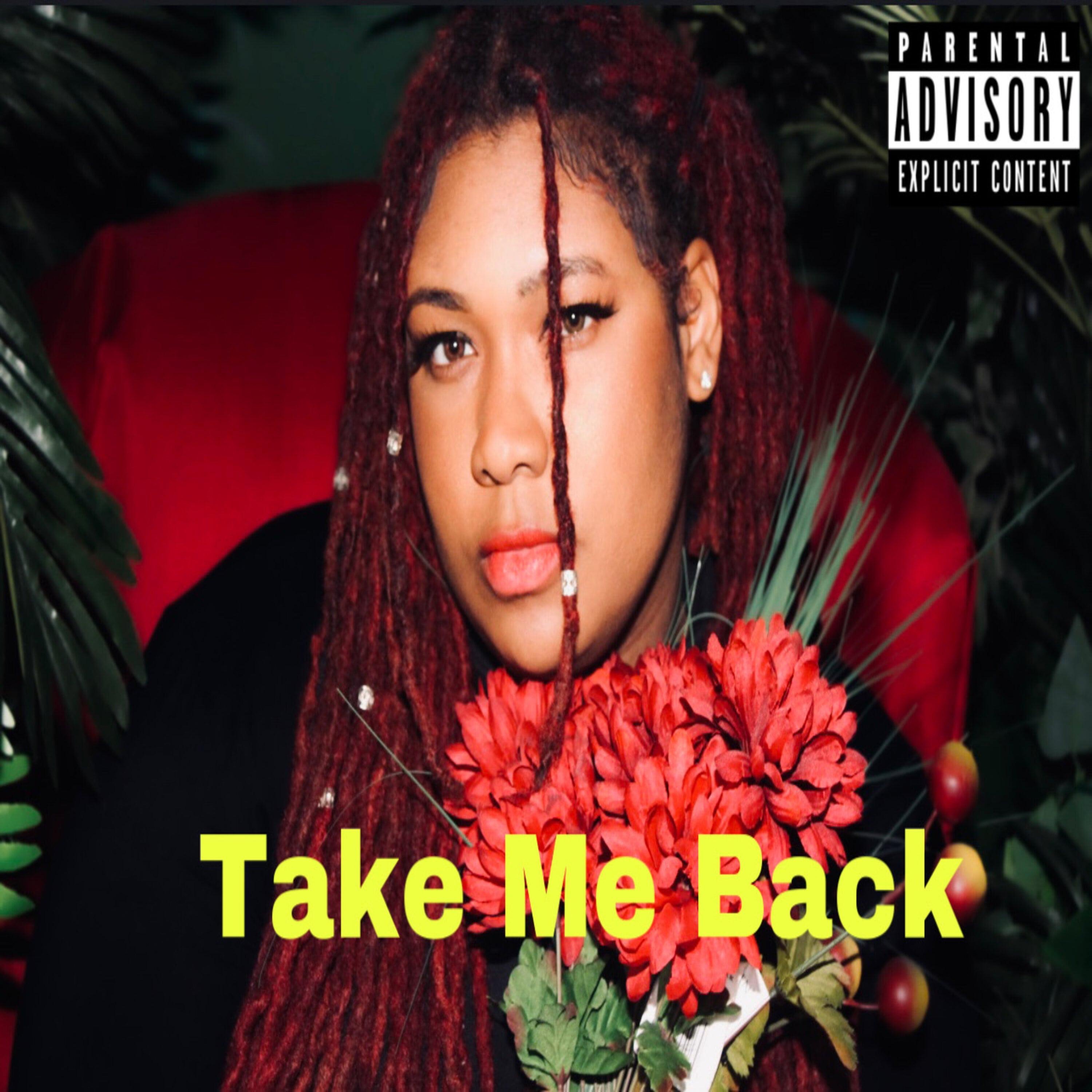 Take Me Back - Single