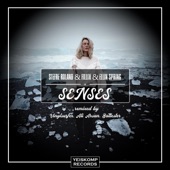 Senses (Ali Arsan Remix) artwork