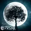 PRSNA - Lions