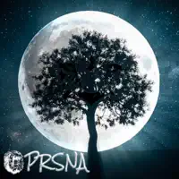 Lions — PRSNA