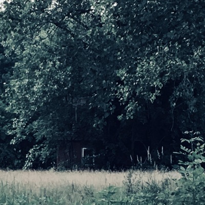 Leaves of Three, Vol. 2 - Single