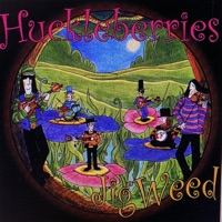 Jigweed by The Huckleberries on Apple Music