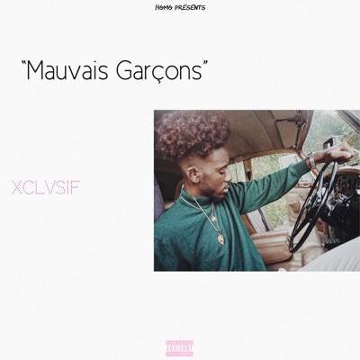 Mauvais Garçons