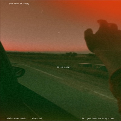 I'm So Sorry (feat. King Chai) - Single