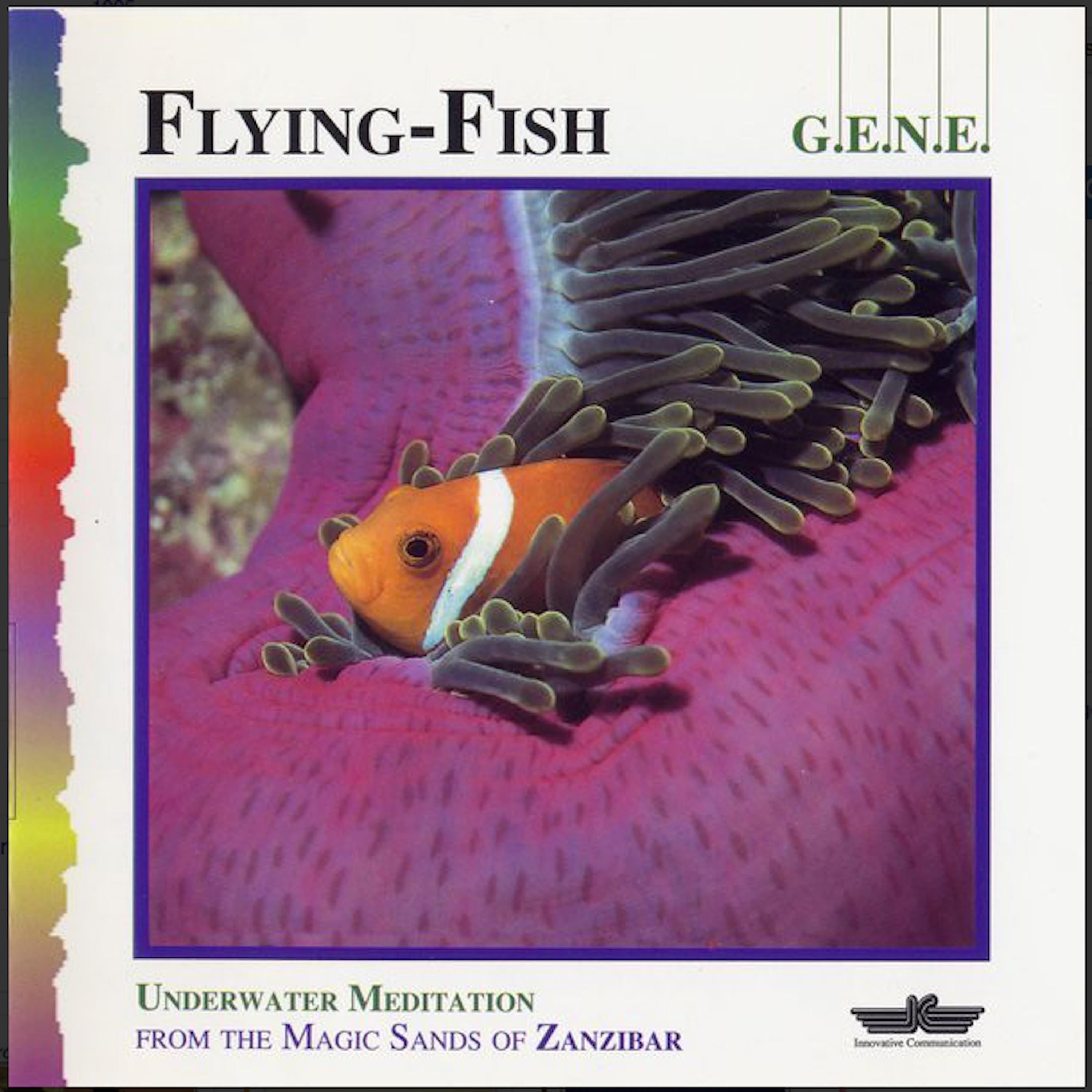 Flying-Fish