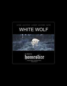 聆聽 Homeslice、觀看音樂影片、閱讀小傳、查看巡演日期等！