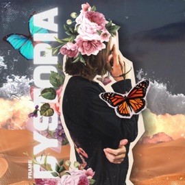 Bet You Think I'm Crazy Frame