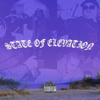 State of Elevation - EP - Flacko507