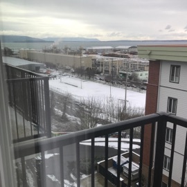 Jazz, Pt. 2 _Houseplants