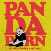 Album cover for Miyagi by Panda Porn