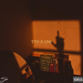 Ttd X Gnf Saito the Artist