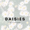 Daisies - Single