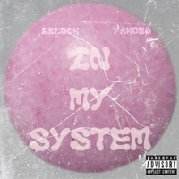 In my system - Single - Lblock