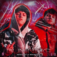 Running (feat. Marian) - Single - Nivelu