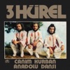 Anadolu Dansı cover art