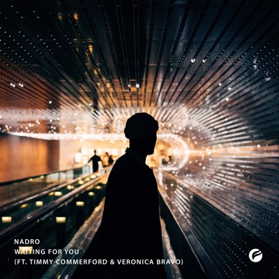 Waiting for You (feat. Timmy Commerford & Veronica Bravo) - Single