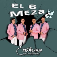 El 6 Meza - Single - Los Profugos de Corral de Piedra