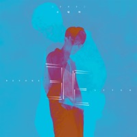 三十王十三 - Essay Wang