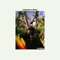 Lakeshore Drive - Artifakts