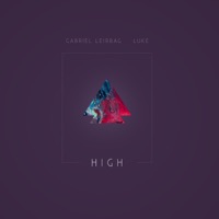 High (feat. Luke) - Single - Gabriel Leirbag