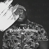 Brodo Schemes - raphenzee